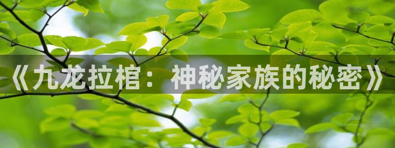 《九龙拉棺：神秘家族的秘密》