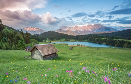 阳台园艺种植展示